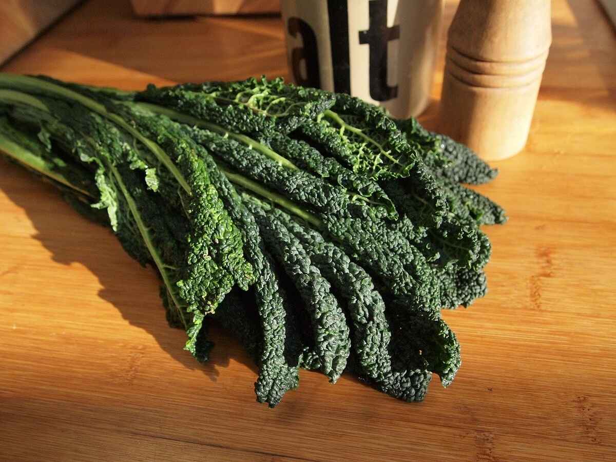 Il pesto di cavolo nero
