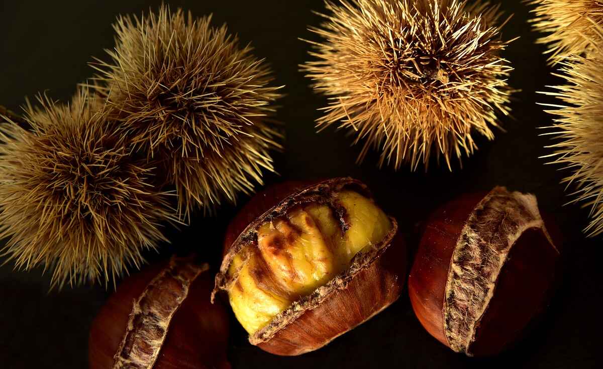Le castagne