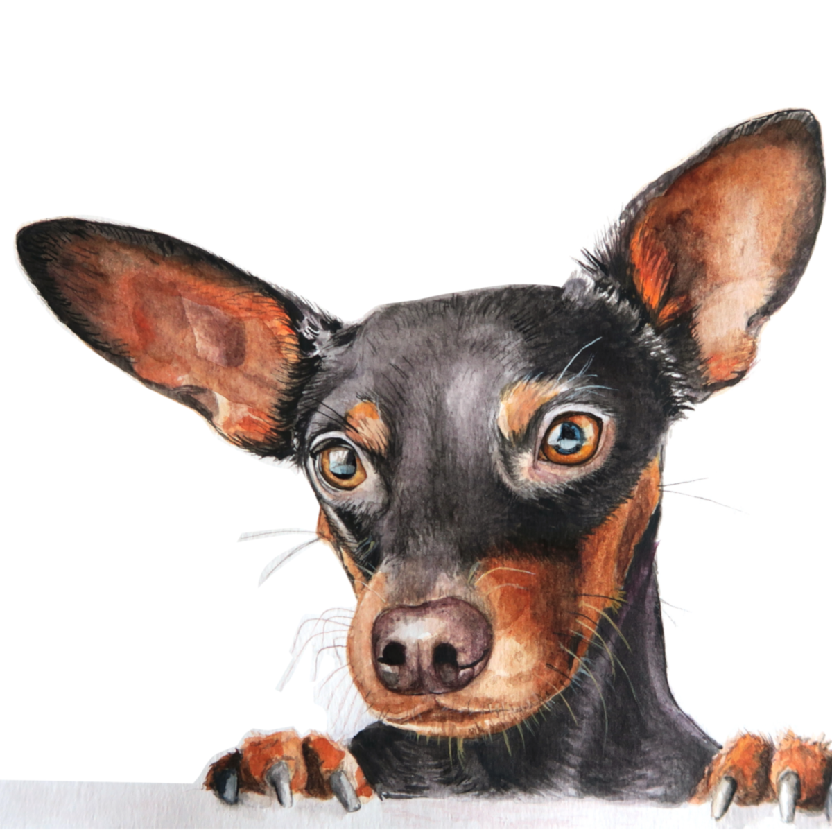 Dorota Art for Pet